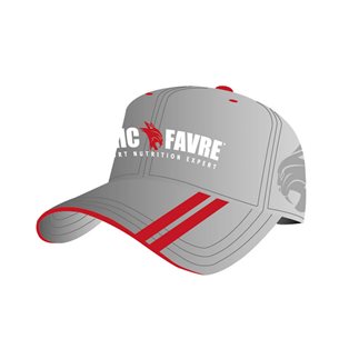 Casquette Grise couleur Gris / Gris foncé