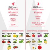 28 Days Tea - Coffret Thés & Tisanes Detox 