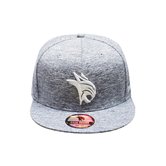 Casquette Snapback (Gris / Adulte) couleur Gris
