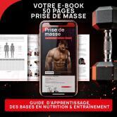 Ebook Prise de masse 